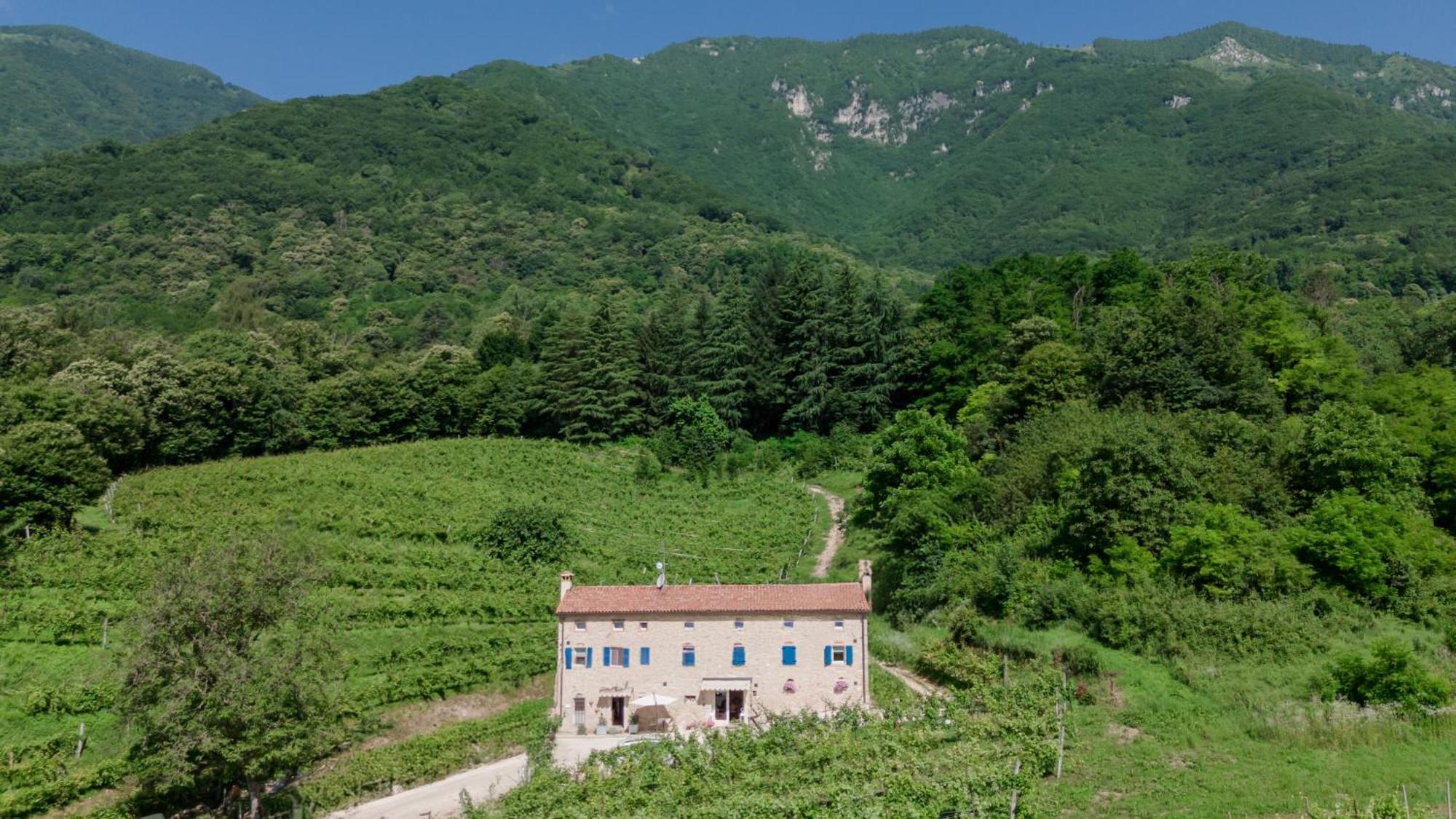 Agriturismo Podere Del Bosc Valmareno Exterior photo